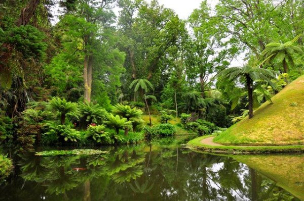 Punta Delgada Sao Miguel – the Green Island