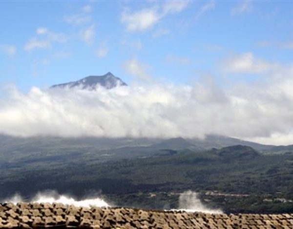 Pico – The Orchard of the Azores
